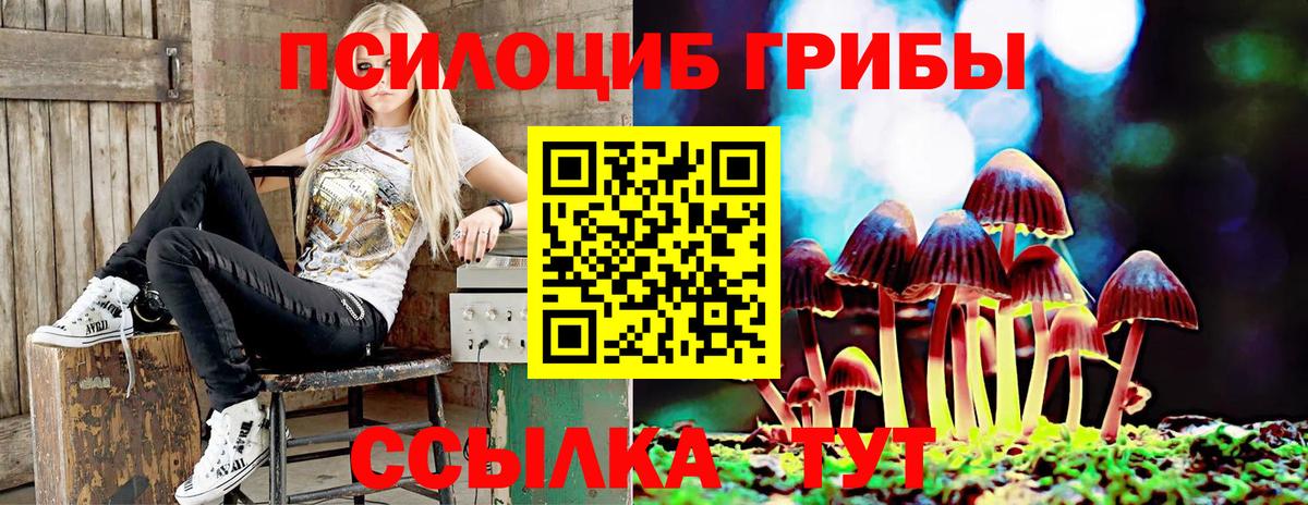 Элиста  Галлюциногенные грибы GOLDEN TEACHER  Вход с VPN 